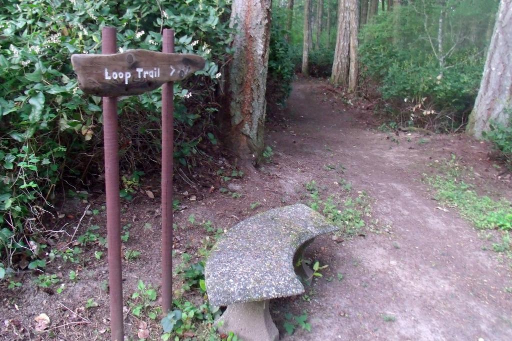 Inn To The Woods フライデー・ハーバー エクステリア 写真